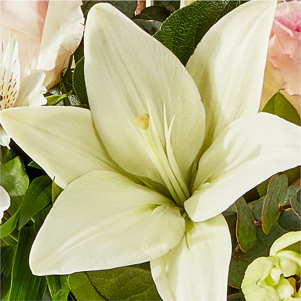 Ballet Slippers Bouquet –  Gunnels Florist Inc, Cookeville TN