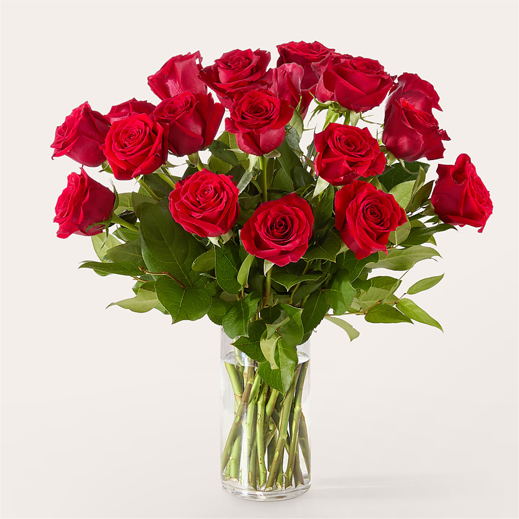 The One Red Rose Bouquet –  Gunnels Florist Inc, Cookeville TN