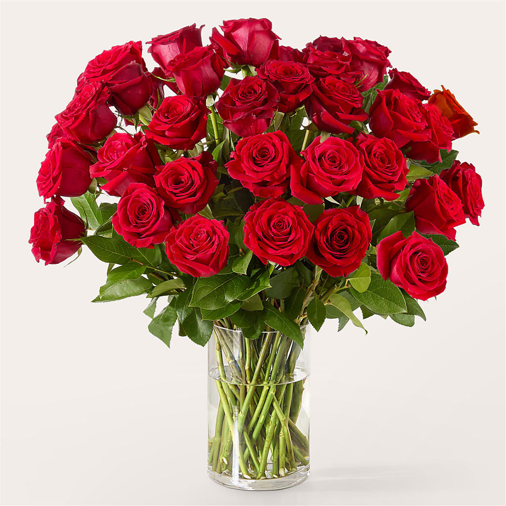 The One Red Rose Bouquet –  Gunnels Florist Inc, Cookeville TN