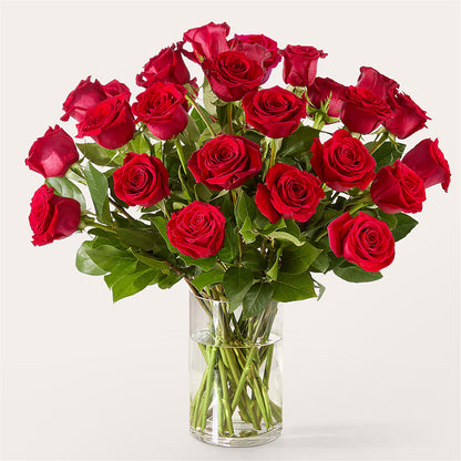 The One Red Rose Bouquet –  Gunnels Florist Inc, Cookeville TN