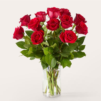 The One Red Rose Bouquet –  Gunnels Florist Inc, Cookeville TN