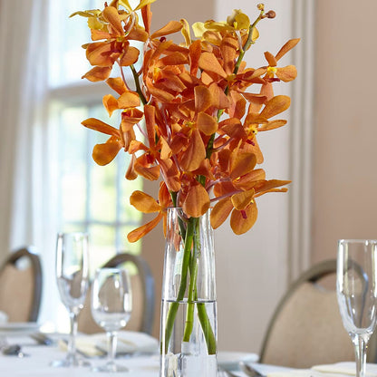 Orange Mokara Bud Vase –  Gunnels Florist Inc, Cookeville TN