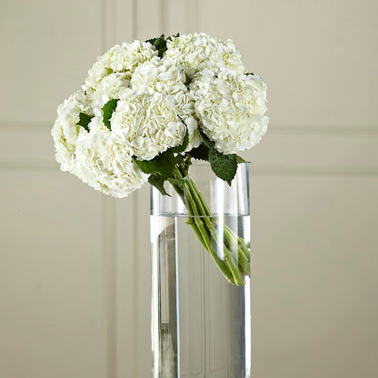White Hydrangea Hand-Tied Bouquet –  Gunnels Florist Inc, Cookeville TN