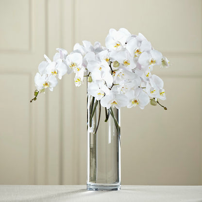 White Phalaenopsis Bouquet –  Gunnels Florist Inc, Cookeville TN
